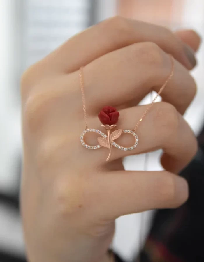 Daisy Silver 925 Sterling Silver Infinity Red Rose Necklace